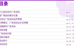 服务动态｜Wildberries推出自动化广告功能 简化商品推广流程