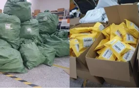 卖家故事｜深圳Geekthink春节日销【10000单】全托管+POP双模式年销售额破5000万
