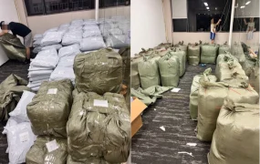 卖家故事｜借力南美反季营销，NN频道助力商家爆单增长300%