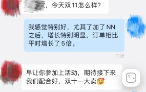 卖家故事｜灯具卖家双11首日爆卖【3000单】订单翻5倍 NN场域贡献近50%销量