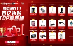 市场趋势｜速卖通双11品牌爆发：小米首日【5500万美金】百亿补贴成爆单神器