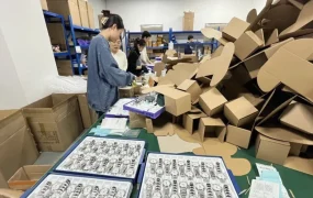 市场趋势｜速卖通双11首日多品类爆发 单量最高增【1730倍】 韩国欧洲市场热销
