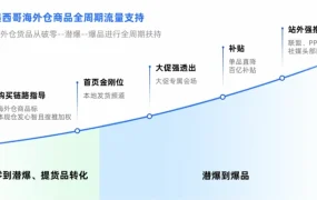 市场趋势｜拉美328大促爆单品类解析 巴西电子需ANATEL认证 墨西哥多品类增长