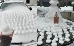 市场趋势｜速卖通冬日雪地玩具热销 雪球夹/滑雪板/雪地绘画板海外需求激增