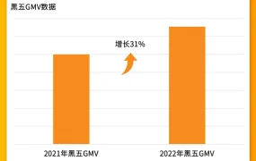 市场趋势｜Jumia黑五选品数据曝光：3C类增长【31%】 海外仓成爆单关键