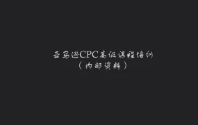 亚马逊CPC高级广告策略与实操指南-46页