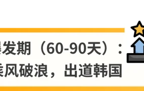 运营指导｜Coupang官方四步爆单法：Listing优化+广告策略+站外引流+爆款打造