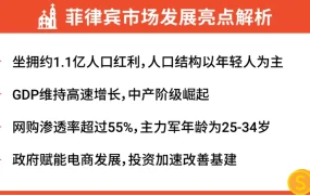 卖家故事｜Focallure深耕Shopee东南亚 9.9大促爆单10万+ 站外营销贡献40%订单