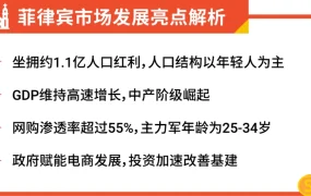 卖家故事｜2人团队出海菲律宾日销3万单 内贸卖家大促单量翻3倍
