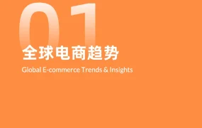 2026全球DTC独立站营销洞察报告-54页