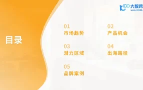 2026宠物电器品类出海分析报告-31页