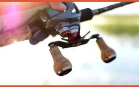 卖家故事｜渔具卖家GOMEXUS月销10万美金 居Shopee马来西亚渔轮类目第一
