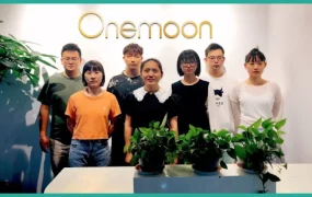 卖家故事｜Onemoon空气炸锅双大促增长 精细化运营CPAS投产比达238