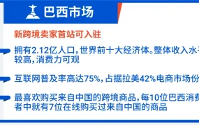 运营指导｜Shopee拉美四国11.11大促作战指南 热卖品价格区间+高峰日全解析