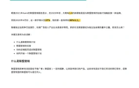 独立站联盟营销实战指南-8页