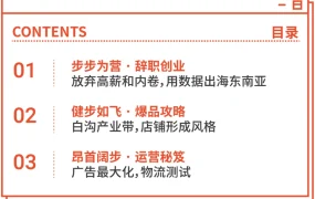 卖家故事｜27岁程序员裸辞做Shopee包包品类 1年做到日出900单