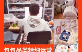卖家故事｜95后毕业生半年做到日出6000单 越南站帆布包品类精细化运营突围