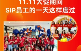 服务动态｜Shopee新加坡SIP团队双11大促人工优化250万商品 搜索量增150%