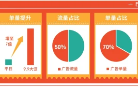 卖家故事｜Shopee广告投放策略实现GMV增长315% 9.9大促单量提升7倍