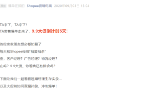 运营指导｜Shopee 9.9大促冲刺清单+10.10五市场选品日历 附价格区间