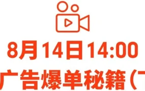 运营指导｜Shopee旺季广告玩法教学直播 连续两天四类卖家策略 8月13-14日