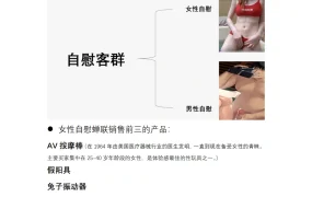 成人用品跨境电商选品指南-7页
