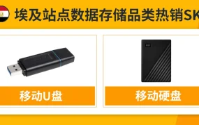 市场趋势｜Jumia埃及站物流清关难题攻克 海外仓增长空间巨大 黑五爆单良机