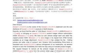 2025亚马逊举报抄袭产品模板-2页