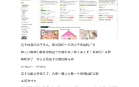 Amazon Choice破解之道：抢占亚马逊黄金流量位的终极指南-5页