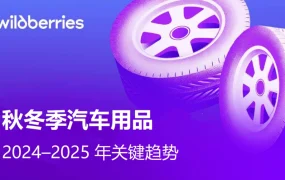 市场趋势｜Wildberries汽车用品冬季销售策略公布 轮胎品类增长【369%】