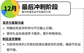 运营指导｜eBay德国站2025旺季攻略 圣诞购物提前启动 固销售涨近【300%】