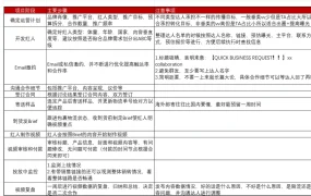 跨境电商网红营销合作项目规划表-13行-1个子表