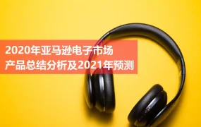 2020年亚马逊3C电子市场选品分析及2021年预测-16页