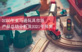 2020年亚马逊玩具市场产品总结分析及2021年预测-19页