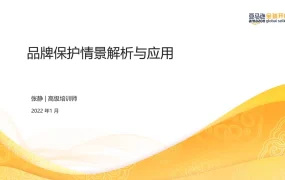 亚马逊品牌保护情景解析与应用指南-47页