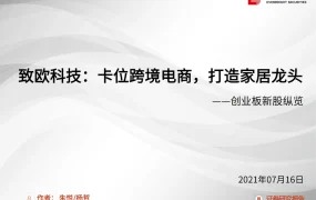 致欧科技跨境电商家居龙头全产业链分析报告-29页