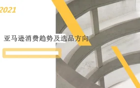 2021亚马逊热门消费趋势及选品方向-14页