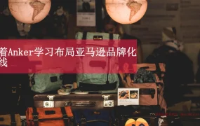 2021亚马逊品牌化路线与Anker成功案例深度剖析-18页