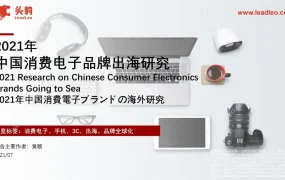 2021年中国消费电子品牌出海研究报告-35页