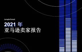 2021年亚马逊卖家状况报告-34页