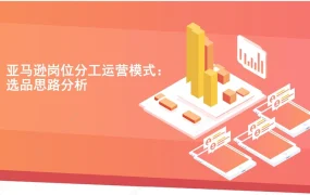 2021年亚马逊运营全链路策略与岗位分工指南-22页