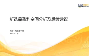2022年亚马逊新选品盈利空间分析及后续建议-65页