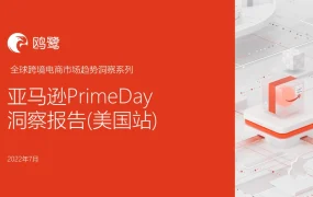 2022年亚马逊PrimeDay数据报告及爆品分析-20页