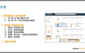 2022年亚马逊SDSBSP全策略指南-26页