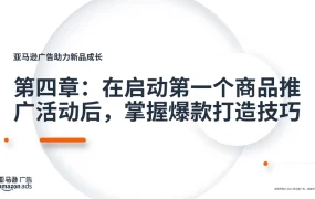 2023亚马逊爆款打造技巧-103页