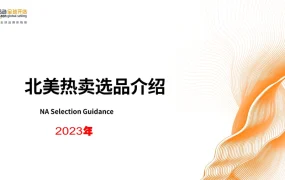 2023年亚马逊北美站热卖选品指南-55页