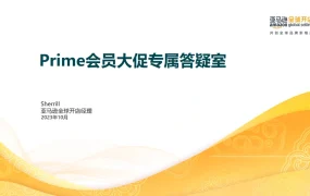 2023年亚马逊Prime会员大促促销活动报错解析与修复指南-21页