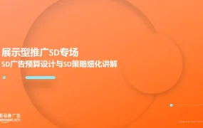 2024亚马逊展示型推广SD广告预算设计与策略细化讲解-26页