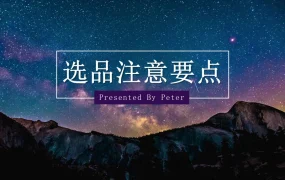 2024亚马逊精品大卖家内部选品培训课件-27页
