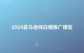 2024亚马逊纯白帽推广模型-1页